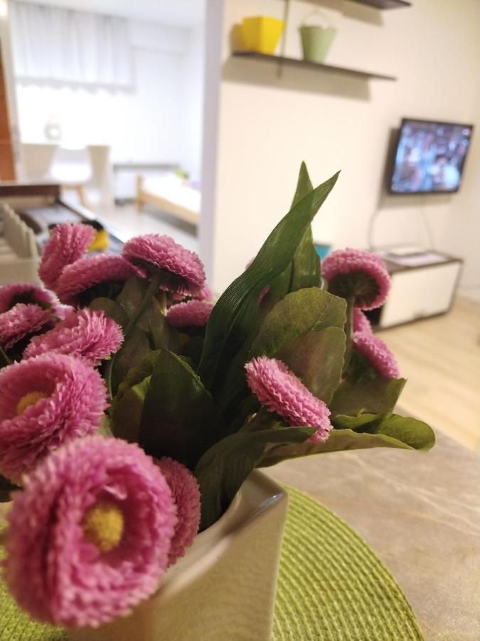 Jani Apartment City Skopje City ​​Center מראה חיצוני תמונה
